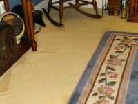 Always Clean With Carpet Maintenance