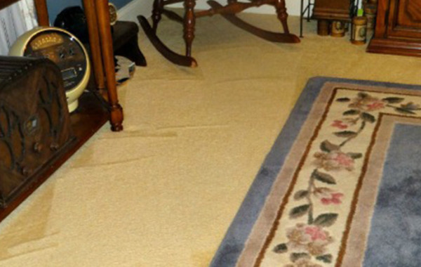 Always Clean With Carpet Maintenance