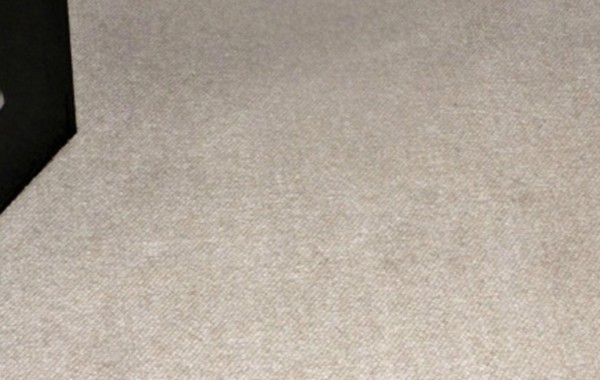 Carpet Cleaning and Spot Removal