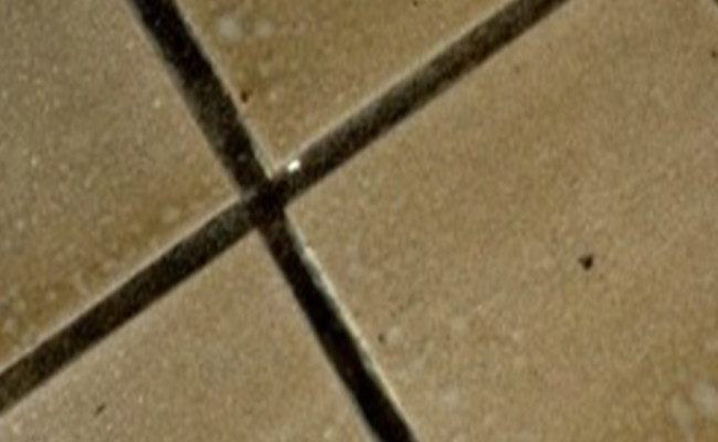 Grout-Before-Cleaning