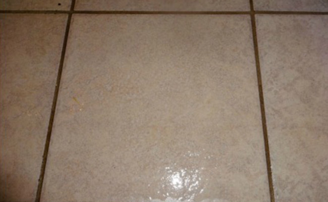 Tile-and-Grout-Entryway-Close-After-650×400