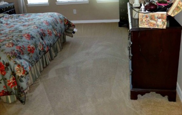 Dirt and Spots Removed from Carpet