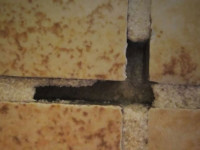 Hollow tiles or cracking tiles and grout? Read this before ripping it all out.