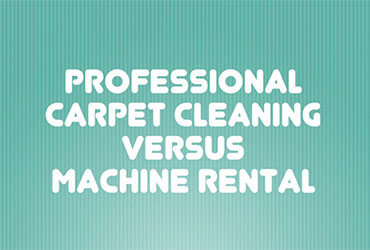 Professional Carpet Cleaning vs Machine Rental