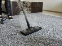 Professional Carpet Cleaning vs DIY Carpet Cleaning